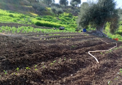 Agriturismo Casale Le Campanelle Sicilia Cefal